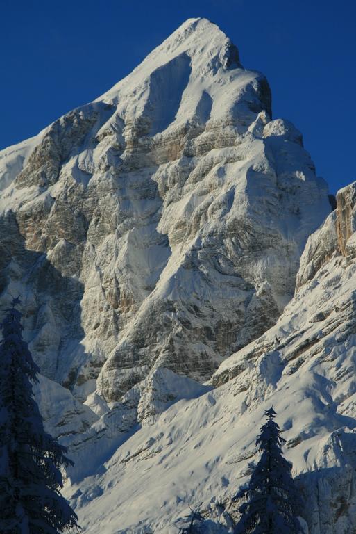 Rifugio Passo Staulanza Hotel Zoldo Alto ภายนอก รูปภาพ